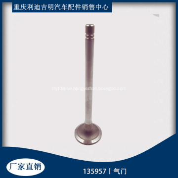 Diesel machinery engine parts 135957 Intake valve